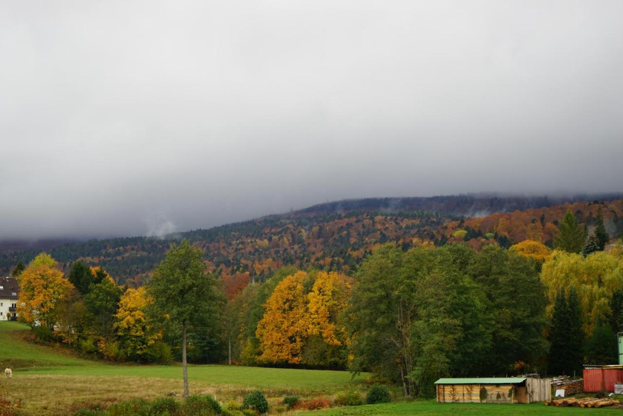 Hotel Marchal Le Hohwald Eksteriør bilde